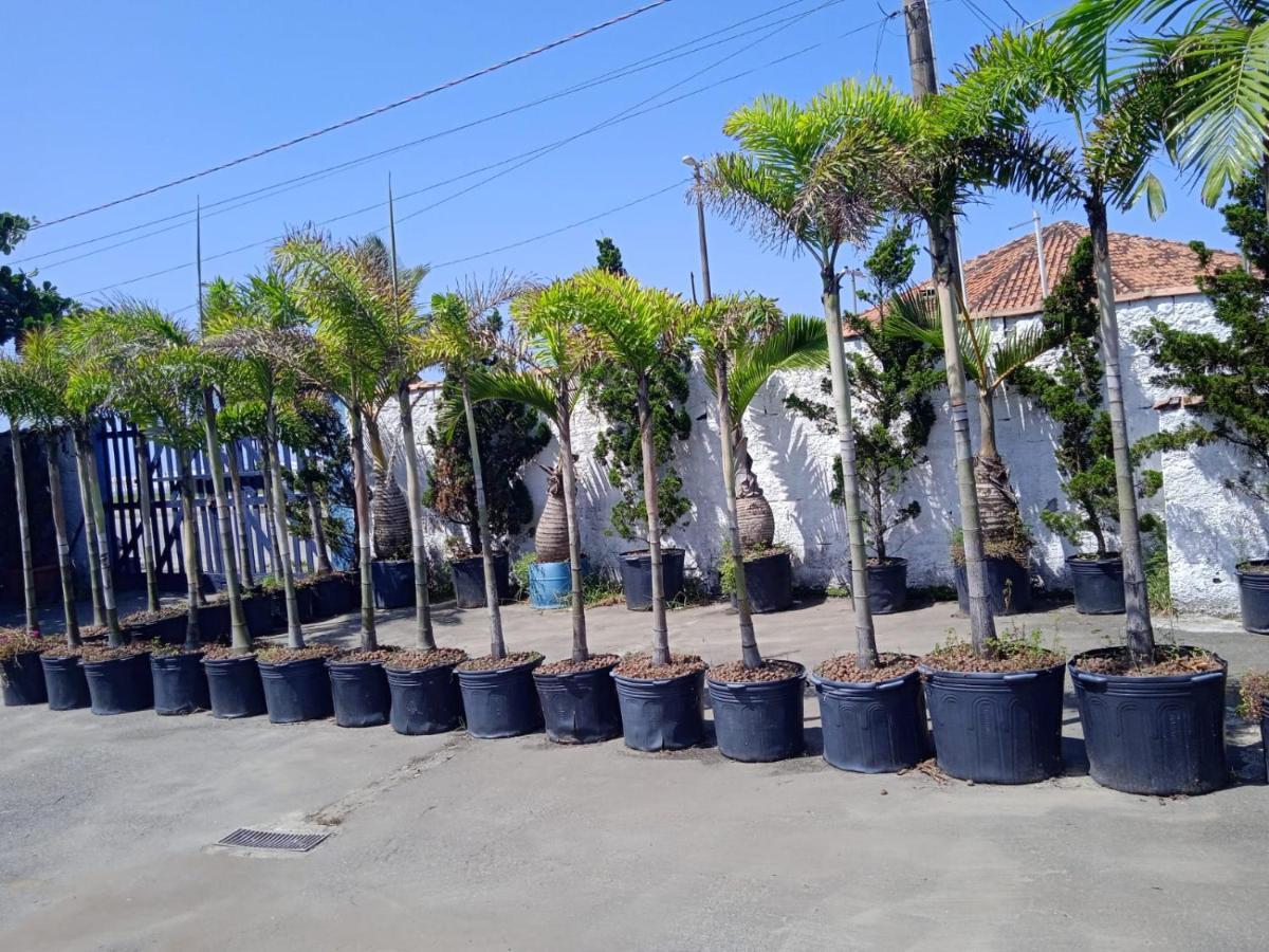 Pousada Sereia Jofisa Itanhaém Extérieur photo