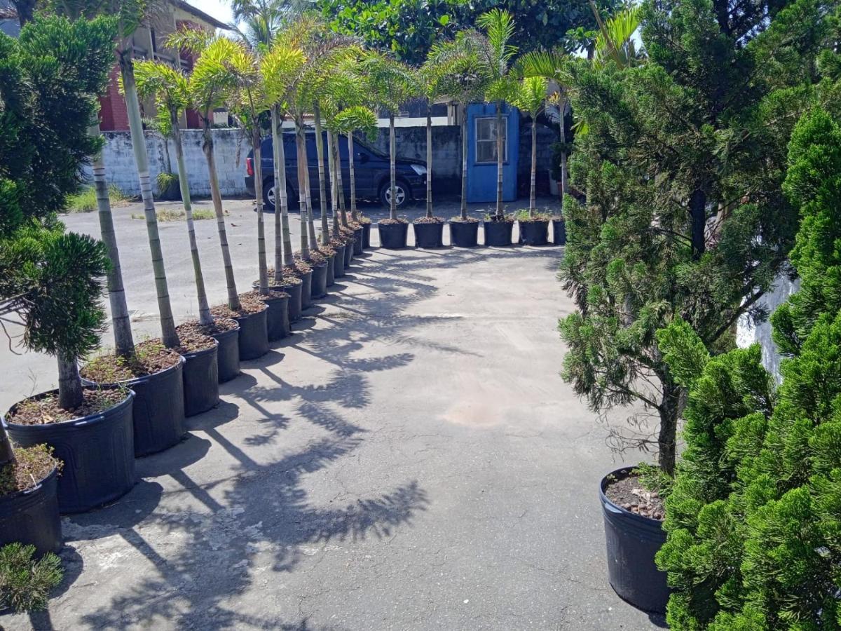 Pousada Sereia Jofisa Itanhaém Extérieur photo
